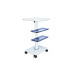 TD Universal Salon Trolley