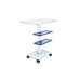 Universal Salon Trolley
